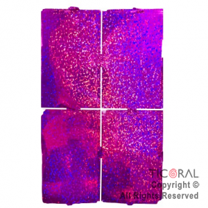 CORTINA DE CUADROS METALIZADA HOLOGRAFICA VIOLETA LASER 2 MT X 1MT x 1